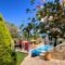 Villa Milli_holidays_in_Villa_Crete_Rethymnon_Rethymnon City