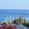 Olympus Apartments_lowest prices_in_Apartment_Dodekanessos Islands_Tilos_Livadia