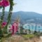 Amorgi Studios_best deals_Hotel_Cyclades Islands_Amorgos_Amorgos Chora