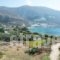 Amorgi Studios_lowest prices_in_Hotel_Cyclades Islands_Amorgos_Amorgos Chora