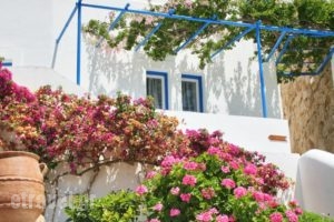 Kritikakis Village Hotel_holidays_in_Hotel_Cyclades Islands_Ios_Ios Chora