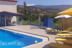 Studios Nikos_best deals_Hotel_Aegean Islands_Lesvos_Kalloni