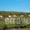 Agrabeli_best deals_Hotel_Ionian Islands_Zakinthos_Zakinthos Rest Areas