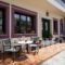 Apollon Hotel_best deals_Hotel_Cyclades Islands_Naxos_Naxos Chora