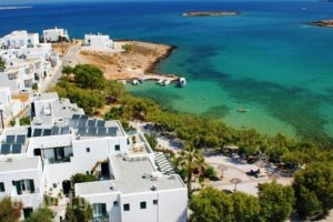 Kalypso Hotel_holidays_in_Hotel_Cyclades Islands_Paros_Piso Livadi