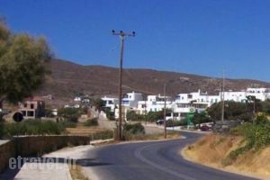 Ostria Studios_holidays_in_Hotel_Cyclades Islands_Andros_Gavrio