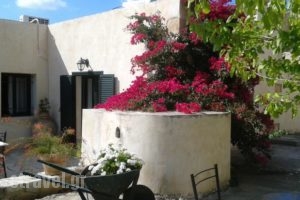 Petra & Elia_best prices_in_Hotel_Crete_Chania_Souda