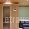 Alpine Aria_best deals_Hotel_Peloponesse_Achaia_Kalavryta