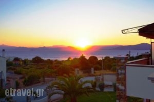 Saint George's Hotel_holidays_in_Hotel_Central Greece_Attica_Spata