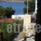 Traditional Studio_best prices_in_Hotel_Dodekanessos Islands_Kos_Kos Rest Areas