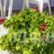 Dk House_best deals_Hotel_Ionian Islands_Kefalonia_Kefalonia'st Areas