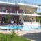 Fotini Studios_accommodation_in_Hotel_Ionian Islands_Lefkada_Vasiliki