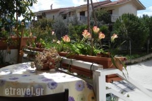 Arhontia_lowest prices_in_Hotel_Peloponesse_Argolida_Mykines