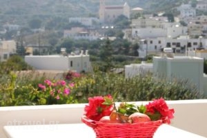 Argo Studios_lowest prices_in_Hotel_Cyclades Islands_Syros_Posidonia