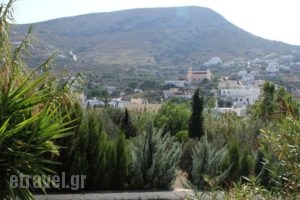 Argo Studios_best prices_in_Hotel_Cyclades Islands_Syros_Posidonia