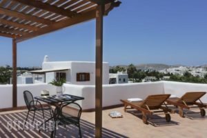 9 Muses_travel_packages_in_Cyclades Islands_Paros_Paros Chora