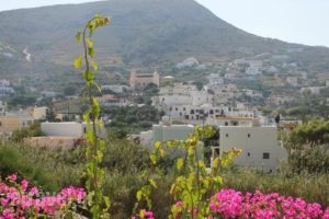 Argo Studios_travel_packages_in_Cyclades Islands_Syros_Posidonia