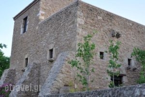 Pyrgos 1869_accommodation_in_Hotel_Peloponesse_Lakonia_Gythio