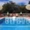 Georgia Studios_holidays_in_Hotel_Sporades Islands_Skopelos_Skopelos Chora