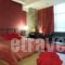 Hotel Cezaria_accommodation_in_Hotel_Epirus_Ioannina_Ioannina City