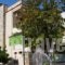 Iliotropio Studios_best prices_in_Hotel_Central Greece_Evia_Edipsos