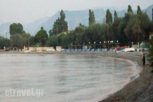 Agroktima Fourki_lowest prices_in_Hotel_Peloponesse_Achaia_Patra