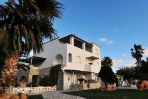 Paradiso Boutique Hotel_accommodation_in_Hotel_Cyclades Islands_Paros_Paros Chora