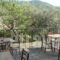 Guesthouse Arsenis_holidays_in_Hotel_Thessaly_Trikala_Kalambaki