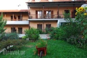 Hotel Papanastasiou_lowest prices_in_Hotel_Thessaly_Trikala_Trikala City