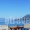 Nefeli Studios_accommodation_in_Hotel_Central Greece_Evia_Edipsos