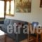 Zisis Garden Studios_best deals_Hotel_Epirus_Ioannina_Ioannina City