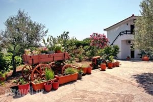 Hotel Pela_best deals_Hotel_Aegean Islands_Lesvos_Kalloni