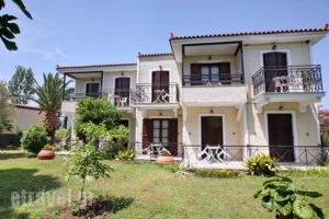 Hotel Pela_lowest prices_in_Hotel_Aegean Islands_Lesvos_Kalloni