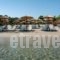 Kripis Studio Paliouri_travel_packages_in_Macedonia_Halkidiki_Kassandreia