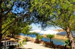 Volissos Holiday Homes Boutique Hotel_s __1