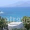 spitakia naxos_holidays_in_Hotel_Cyclades Islands_Paros_Piso Livadi