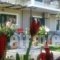 Danai_holidays_in_Hotel_Ionian Islands_Lefkada_Lefkada Rest Areas