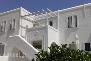 Chrysallis Studios_holidays_in_Hotel_Cyclades Islands_Paros_Paros Chora