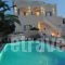 Stelios Place_best deals_Hotel_Cyclades Islands_Sandorini_Emborio