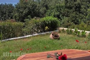 Agnanti Studios_accommodation_in_Hotel_Ionian Islands_Kefalonia_Vlachata