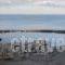 Eftihia Apartment_best deals_Apartment_Crete_Rethymnon_Rethymnon City