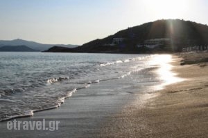 Margaret of Naxos_best prices_in_Hotel_Cyclades Islands_Naxos_Naxos Chora