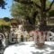 Pythais Hotel_best deals_Hotel_Aegean Islands_Samos_Pythagorio