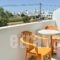 Eleftheria Studios_best prices_in_Hotel_Cyclades Islands_Antiparos_Antiparos Chora