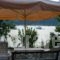 Akis Apartments_accommodation_in_Apartment_Ionian Islands_Lefkada_Lefkada Rest Areas