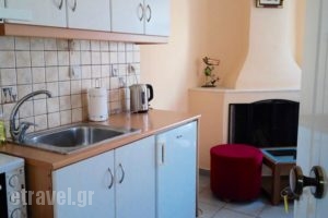 Violetta Studios Galaxidi_best prices_in_Hotel_Central Greece_Fokida_Galaxidi