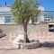 Tania Maisonette_best deals_Hotel_Crete_Lasithi_Sitia