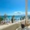 Angel Suites_best prices_in_Hotel_Cyclades Islands_Paros_Paros Chora