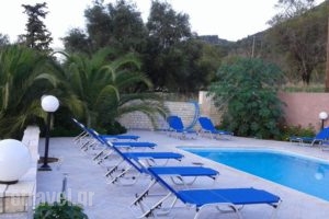 Sami View_best deals_Hotel_Ionian Islands_Kefalonia_Fiskardo